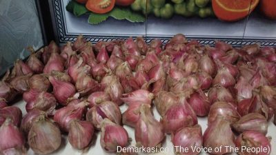 Tak Hanya Gagal Panen, Para Petani Bawang Merah di Desa Basoka Rubaru Banyak Menyisakan Hutang, Pemkab Sumenep Pencitraan?