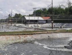 Berdalih Belum Dalami Sengkarut Tambak Ilegal, Kasatpol PP Sumenep Lempar Tanggung Jawab Ke Bawahan?