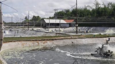 Berdalih Belum Dalami Sengkarut Tambak Ilegal, Kasatpol PP Sumenep Lempar Tanggung Jawab Ke Bawahan?