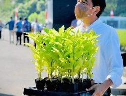 Presiden Jokowi Resmikan Rumpin dan Luncurkan Rehabilitasi Mangrove Di Bogor, Berikut Harapannya