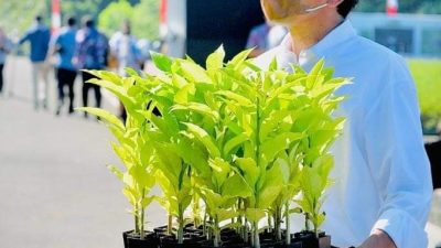 Presiden Jokowi Resmikan Rumpin dan Luncurkan Rehabilitasi Mangrove Di Bogor, Berikut Harapannya