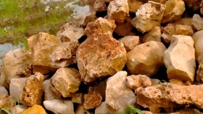 Kadus Serseran Diduga Jadi Dalang Pengrusakan Drainase di Desa Talang Sumenep