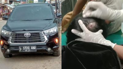 Rombongan Pegawai Bea Cukai Kabupaten Pamekasan Hantam Anak Usia 6 Tahun di Kecamatan Ganding