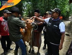 Selain Menghimbau Petani Ikut AUTP, Bupati Sumenep Pantau Hewan Ternak Warga Terdampak Banjir di Desa Sendir