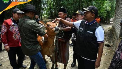 Selain Menghimbau Petani Ikut AUTP, Bupati Sumenep Pantau Hewan Ternak Warga Terdampak Banjir di Desa Sendir
