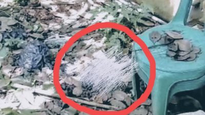 Perempuan Pembuang Bayi di Puskesmas Batuan Jadi Tersangka, Berikut Kronologisnya