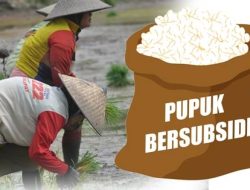 LBH FORpKOT Dukung Polres Sumenep Usut Tuntas Penyelundupan Pupuk Bersubsidi Ke Luar Madura