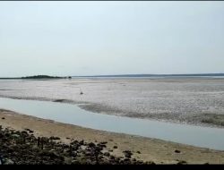 PH Pemilik SHM Menduga Penolakan Segelintir Warga Atas Pembangunan Tambak Garam di Desa Gersik Putih Faktor Sakit Hati
