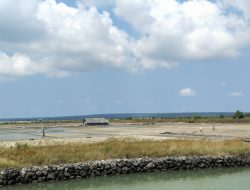 Pembangunan Tambak Garam di Desa Gresik Putih Ditolak Segelintir Warga, Herman Wahyudi: Tebang Pilih