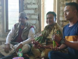 Upaya Mengurangi Biaya Produksi, Gapoktancam Bindara Saod Ciptakan Pupuk Organik Sakti