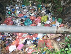 Bau Tak Sedap di Jalan Raya Desa Pordapor dan Desa Payudan Dundang Ganggu Para Pengguna Jalan