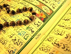 Surah Yasin Lengkap 83 Ayat Arab