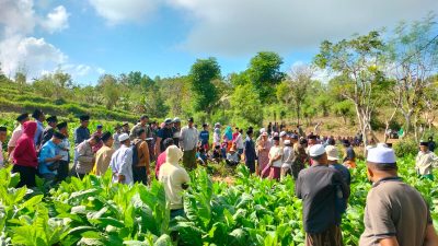 Breaking News: Warga Desa Soddara Sumenep Digegerkan dengan Penemuan Mayat Laki-laki di Atas Bukit