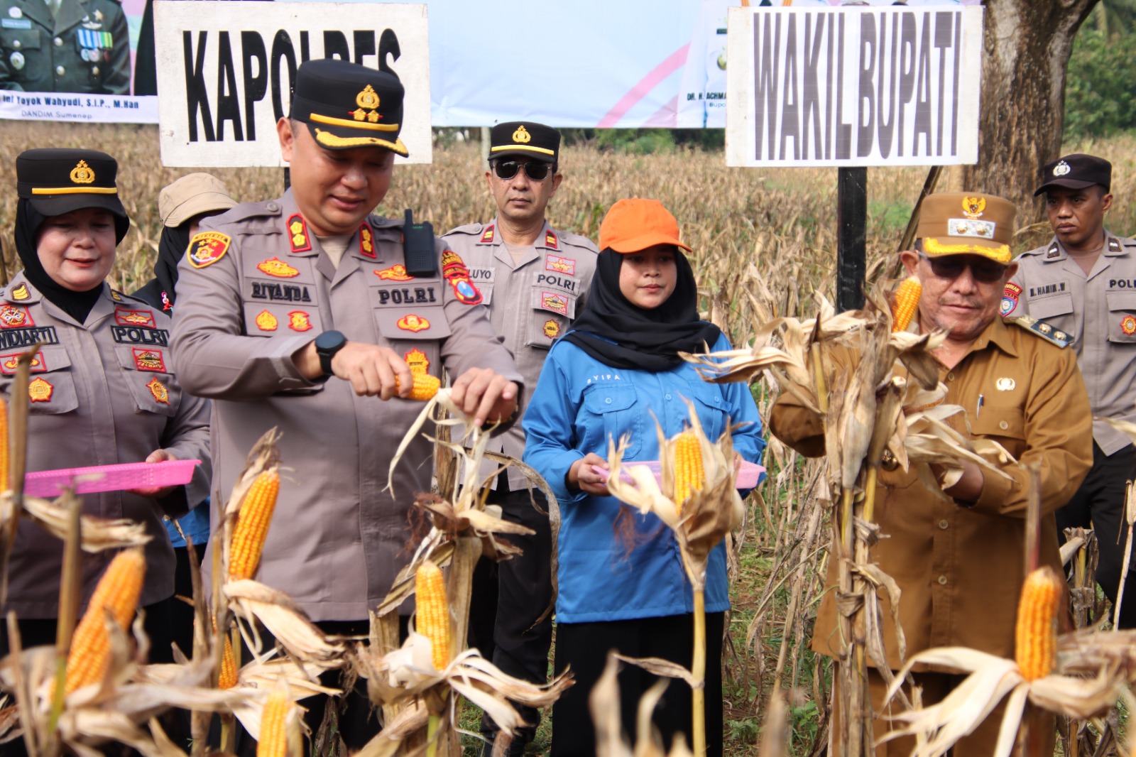 Polres Sumenep Gelar Panen Raya Jagung Serentak Dukung Ketahanan Pangan Nasional