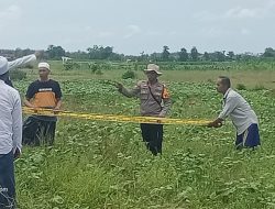 Warga Sumenep Tewas Tersambar Petir di Sawah