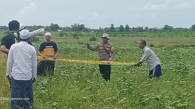 Warga Sumenep Tewas Tersambar Petir di Sawah