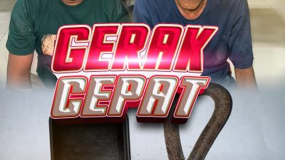 Polisi Menangkap Dua Warga Kecamatan Batang-Batang Sumenep