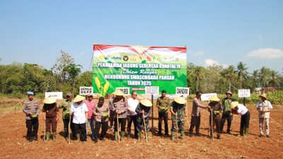 Polres Bersama Forpimda Kabupaten Sumenep Tanam Jagung Serentak Kuartal IV di Kecamatan Lenteng