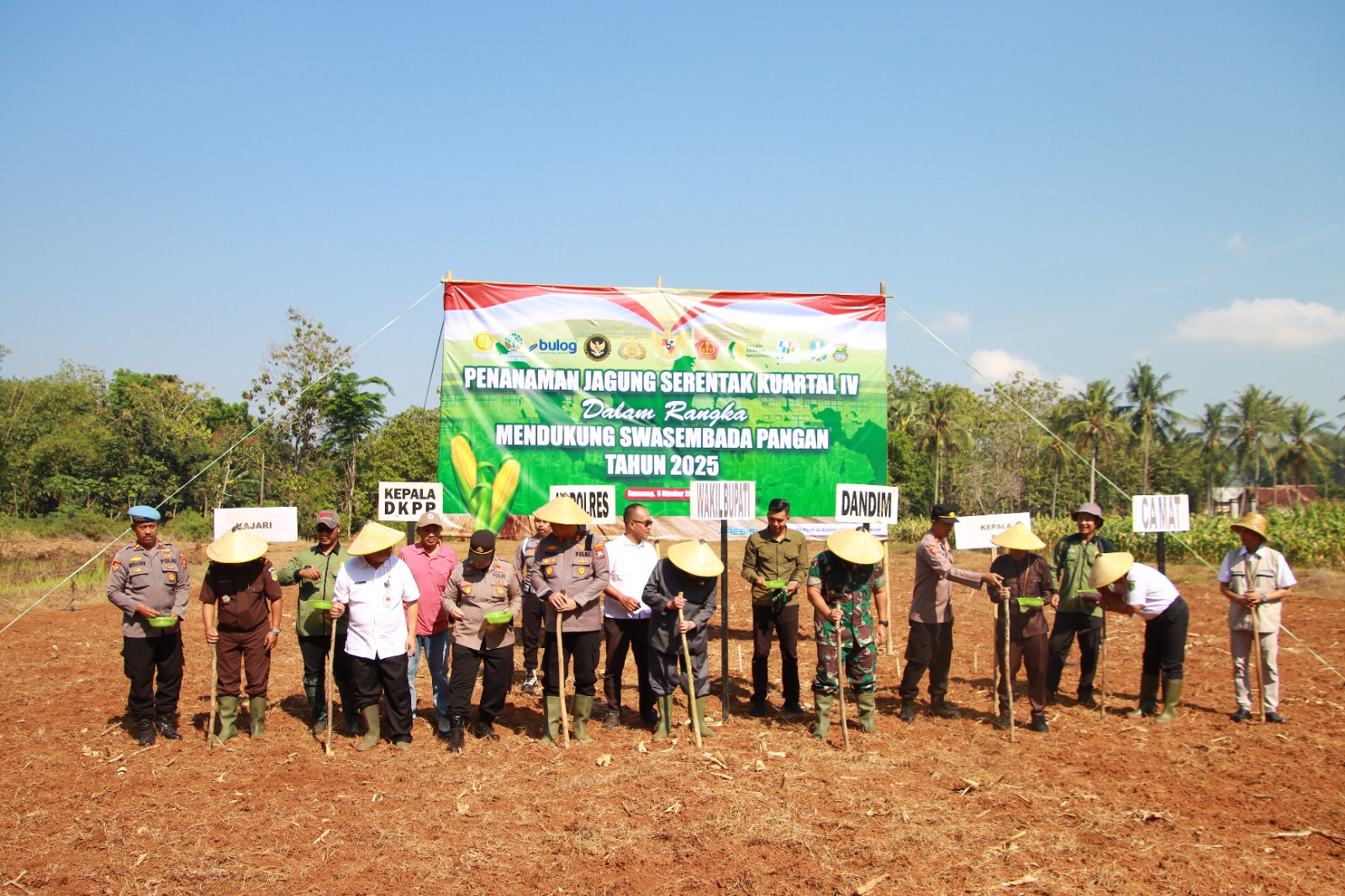 Polres Bersama Forpimda Kabupaten Sumenep Tanam Jagung Serentak Kuartal IV di Kecamatan Lenteng