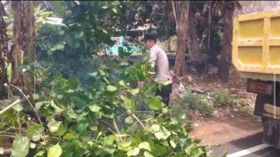 Polres Sumenep Respon Cepat Atasi Pohon Tumbang di Lenteng, Arus Lalu Lintas Kembali Normal