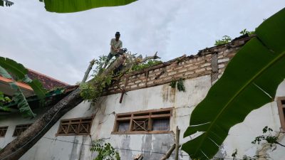 Sebuah Sekolah di Kecamatan Pragaan Ambruk Tertimpa Pohon Tumbang