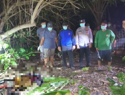 Mayat Pria Tanpa Identitas di Pesisir Pantai Gegerkan Warga Sepanjang Sapeken