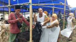 Jelang Iduladha 2026 DKPP Kabupaten Sumenep Inspeksi Lapak Penjualan Hewan Kurban