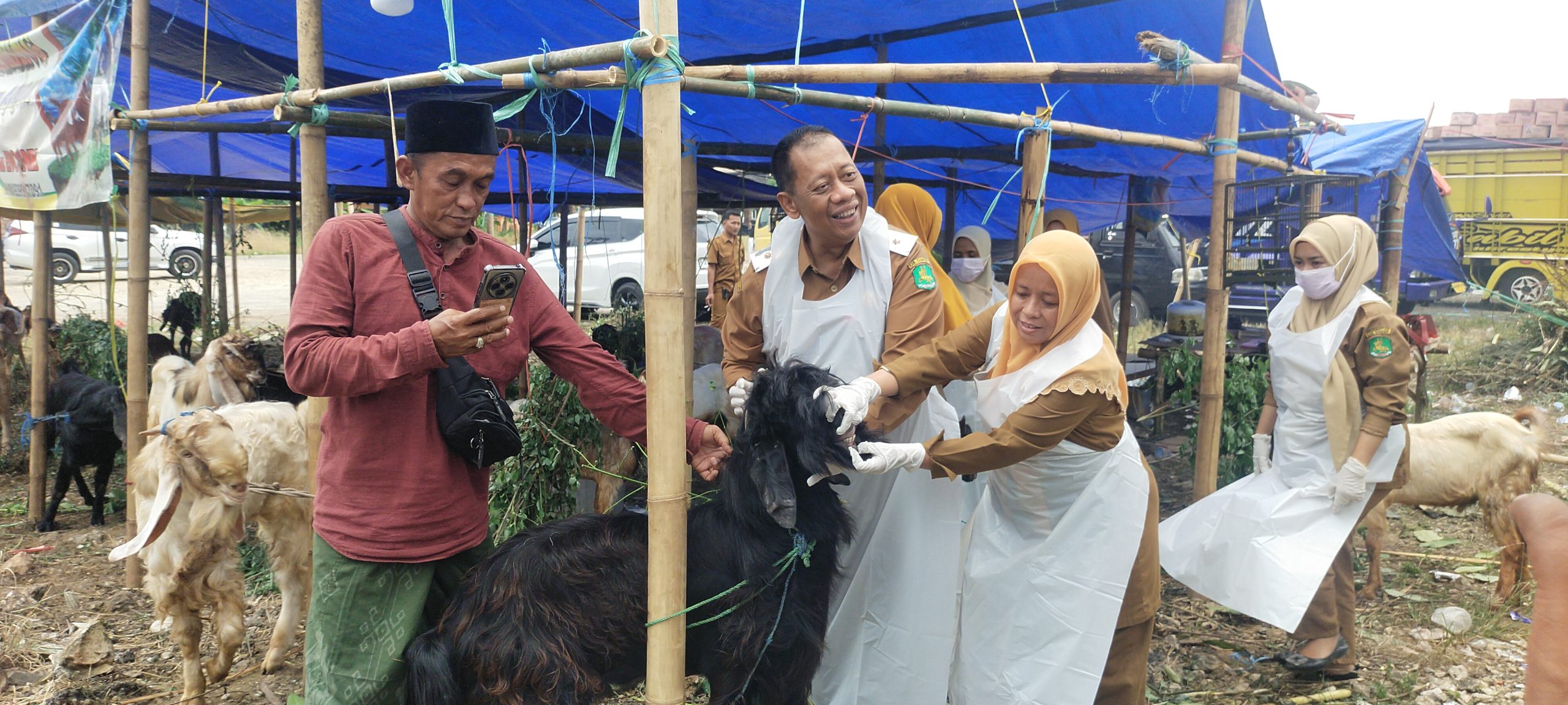 Jelang Iduladha 2026 DKPP Kabupaten Sumenep Inspeksi Lapak Penjualan Hewan Kurban