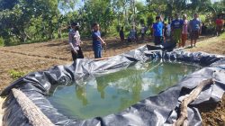 Diduga Tersengat Listrik Saat Nyiram Tembakau, Seorang Pria di Batu Putih Ditemukan Meninggal
