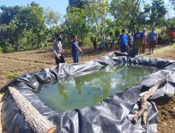 Diduga Tersengat Listrik Saat Nyiram Tembakau, Seorang Pria di Batu Putih Ditemukan Meninggal