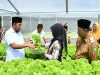 Bupati Sumenep Dorong Pertanian Modern, Tinjau Kebun Hidroponik IRA Farm di Ganding