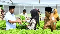 Bupati Sumenep Dorong Pertanian Modern, Tinjau Kebun Hidroponik IRA Farm di Ganding Bupati Sumenep Dorong Pertanian Modern, Tinjau Kebun Hidroponik IRA Farm di Ganding