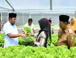 Bupati Sumenep Dorong Pertanian Modern, Tinjau Kebun Hidroponik IRA Farm di Ganding
