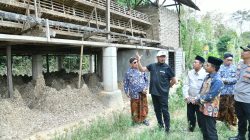 Pastikan Program Pemerintah Daerah Bermanfaat Nyata Bagi Masyarakat, Bupati Sumenep Tinjau Langsung Budidaya Lele dan Ayam Petelur di Desa Bataal Timur