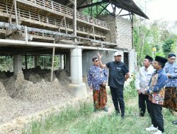 Pastikan Program Pemerintah Daerah Bermanfaat Nyata Bagi Masyarakat, Bupati Sumenep Tinjau Langsung Budidaya Lele dan Ayam Petelur di Desa Bataal Timur