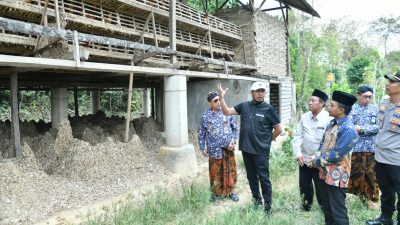 Pastikan Program Pemerintah Daerah Bermanfaat Nyata Bagi Masyarakat, Bupati Sumenep Tinjau Langsung Budidaya Lele dan Ayam Petelur di Desa Bataal Timur